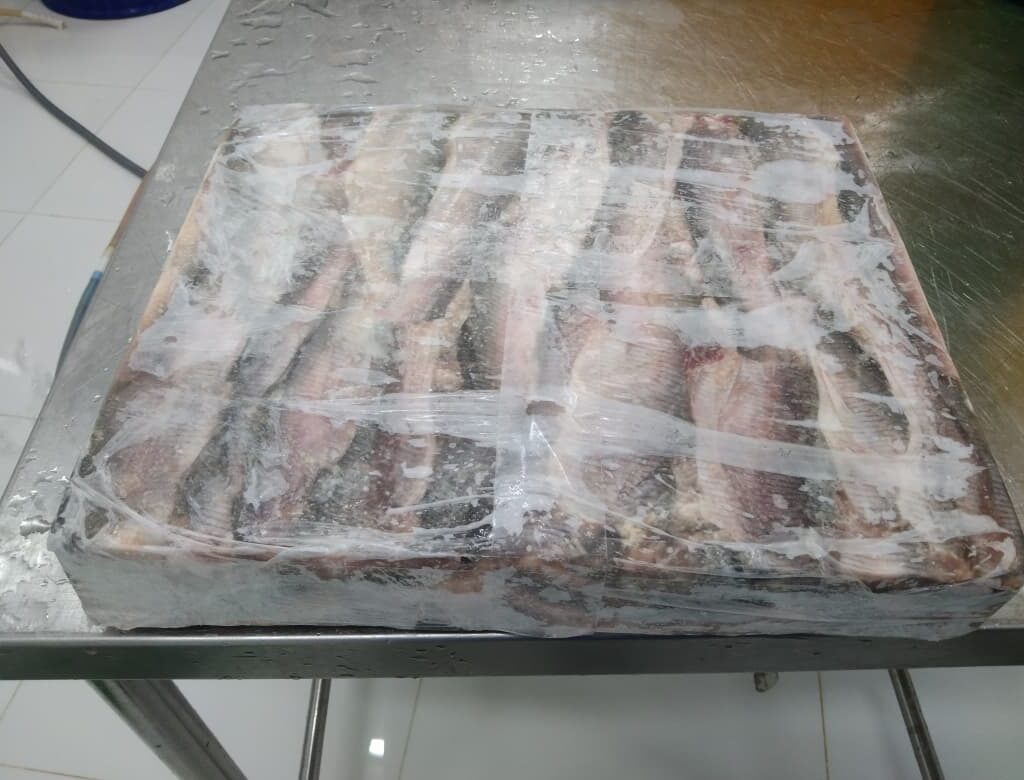 whatsapp image 2025 10 07 at 13.15.19