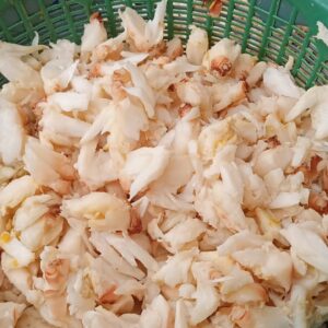 whatsapp image 2025 10 07 at 16.52.09