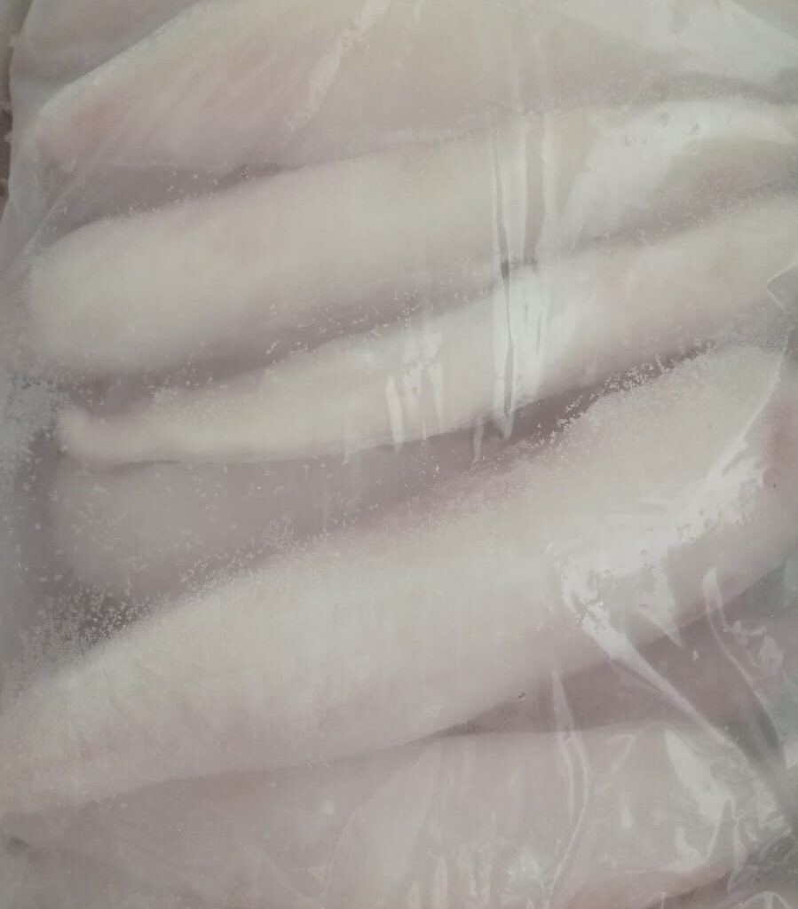 whatsapp image 2025 10 09 at 16.03.25