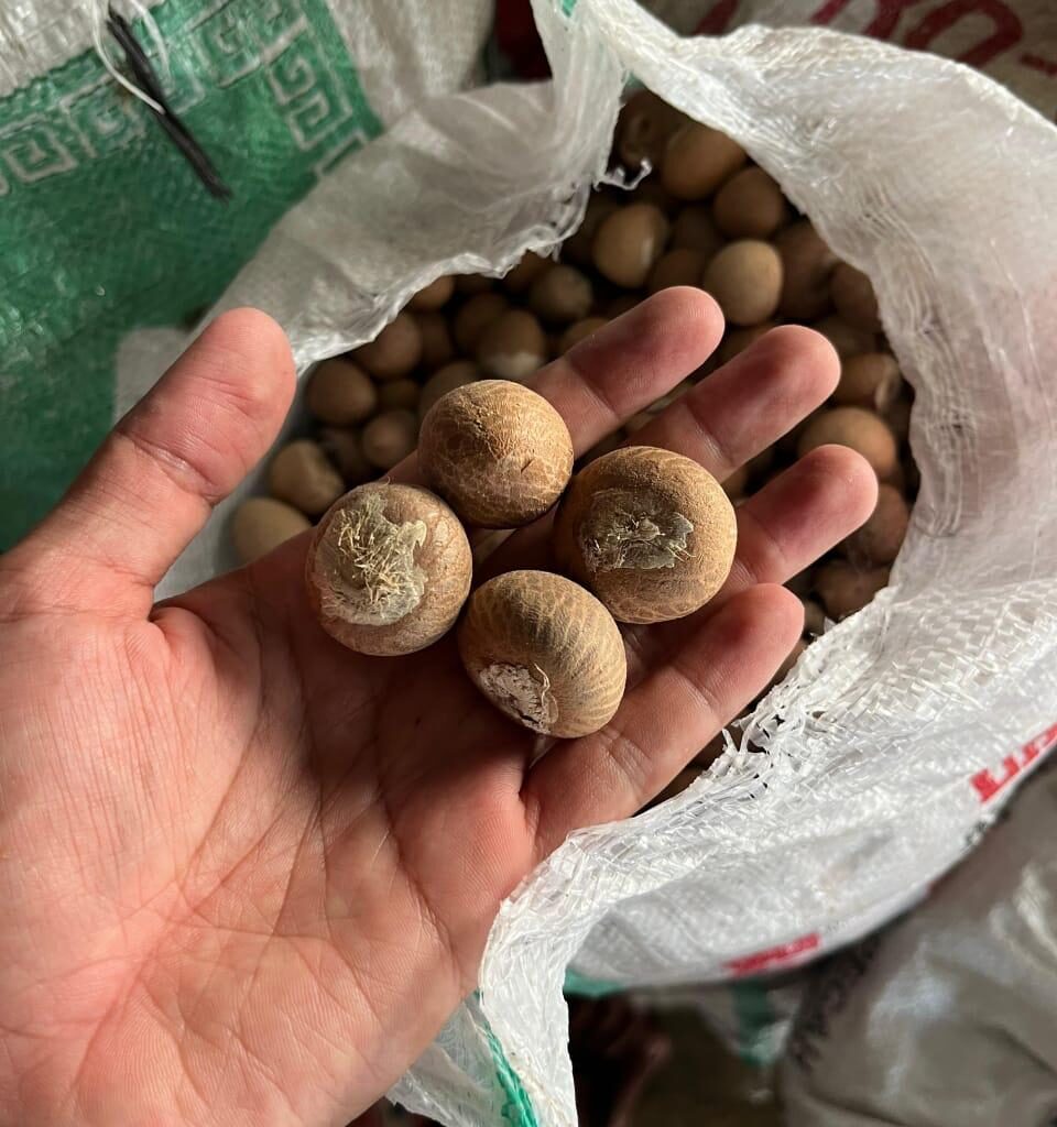 whatsapp image 2025 10 09 at 16.17.27