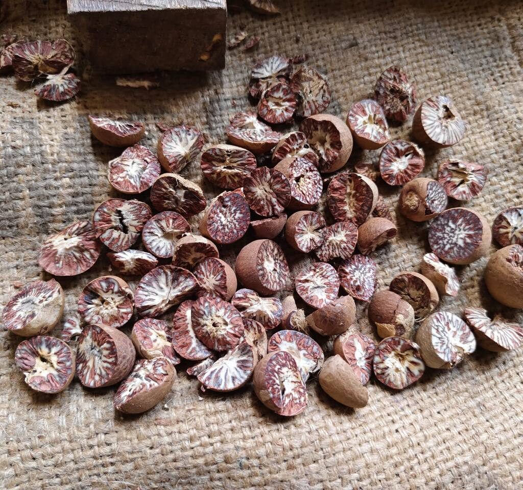 whatsapp image 2025 10 09 at 16.18.03