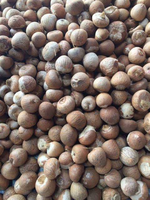 whatsapp image 2025 10 09 at 16.18.32