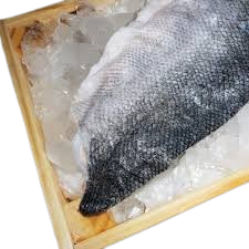 images removebg preview (1)